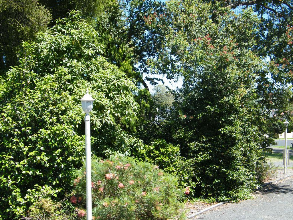 Bega Caravan Park Esterno foto