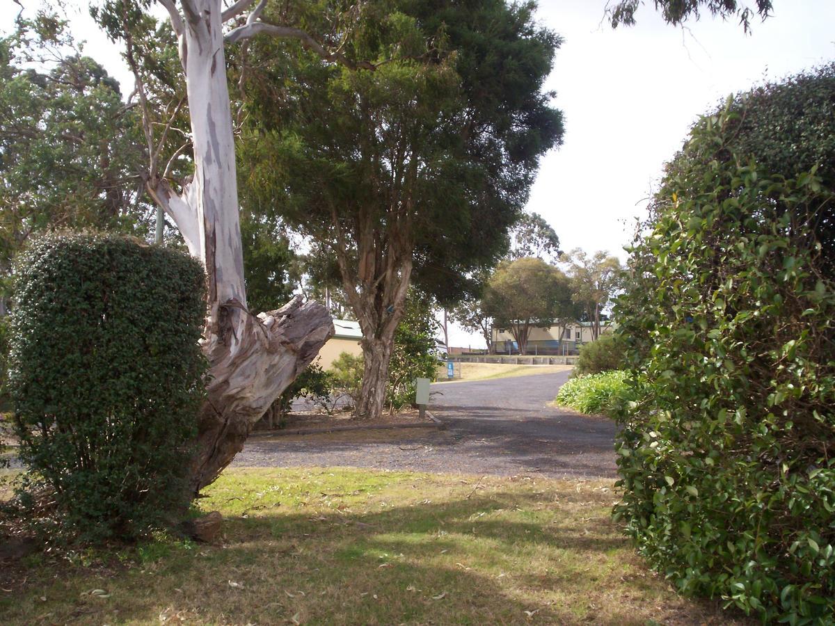 Bega Caravan Park Esterno foto
